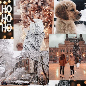 Meet your Posher, Savannah